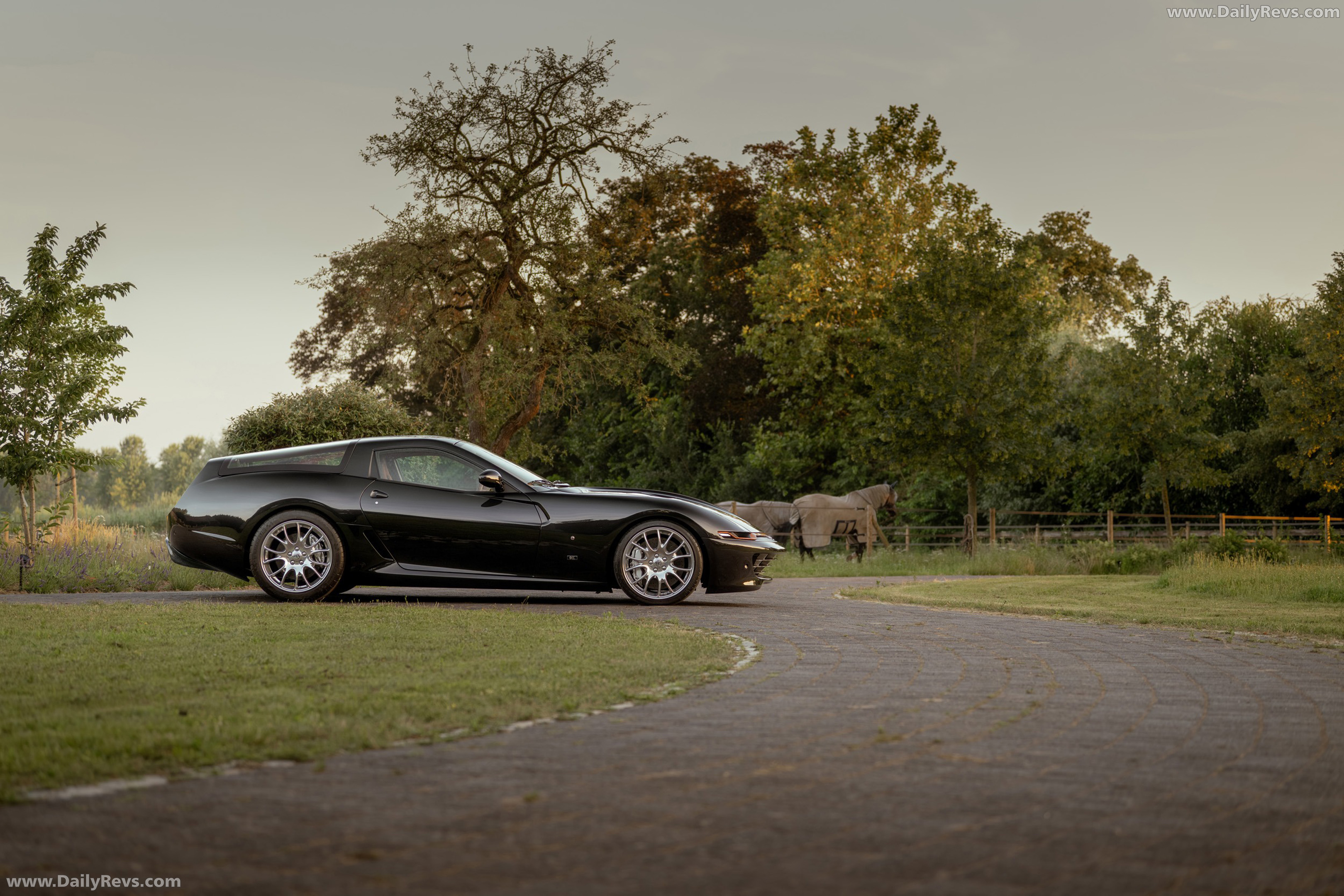 2026 Neils Van Roij Daytona Shooting Brake Hommage Side View